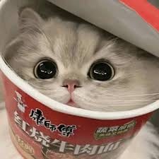 Maia Estianty avatar